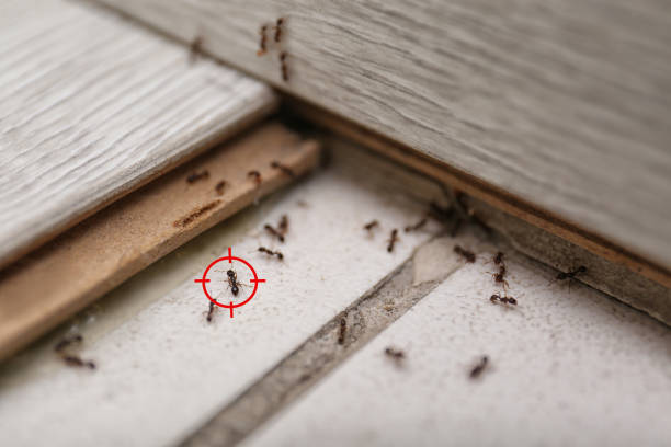 Pest Control Cost in Spring Mount, PA