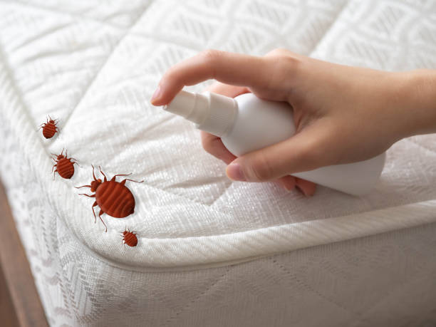 Best Cockroach Control Services  in Spring Mount, PA